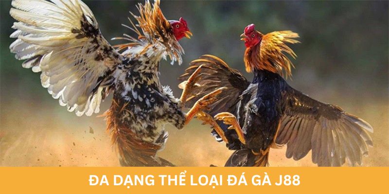 Đa dạng thể loại đá gà J88